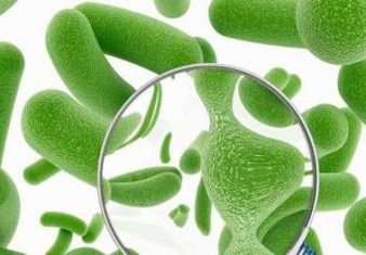 Is Your Stomach Toxic? (Gut Bacteria)